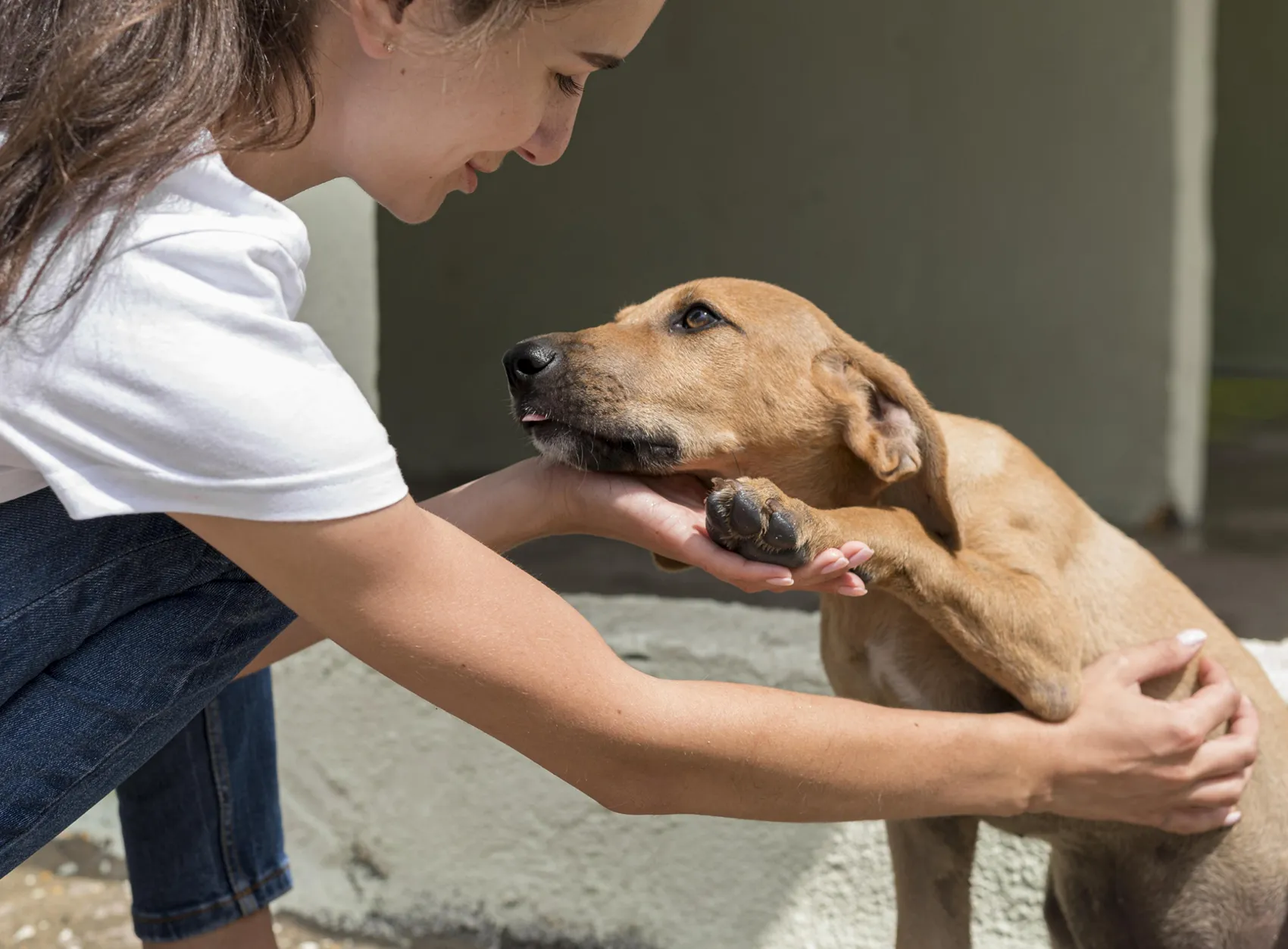 A child with their dog — the everyday life insurance is there to protect